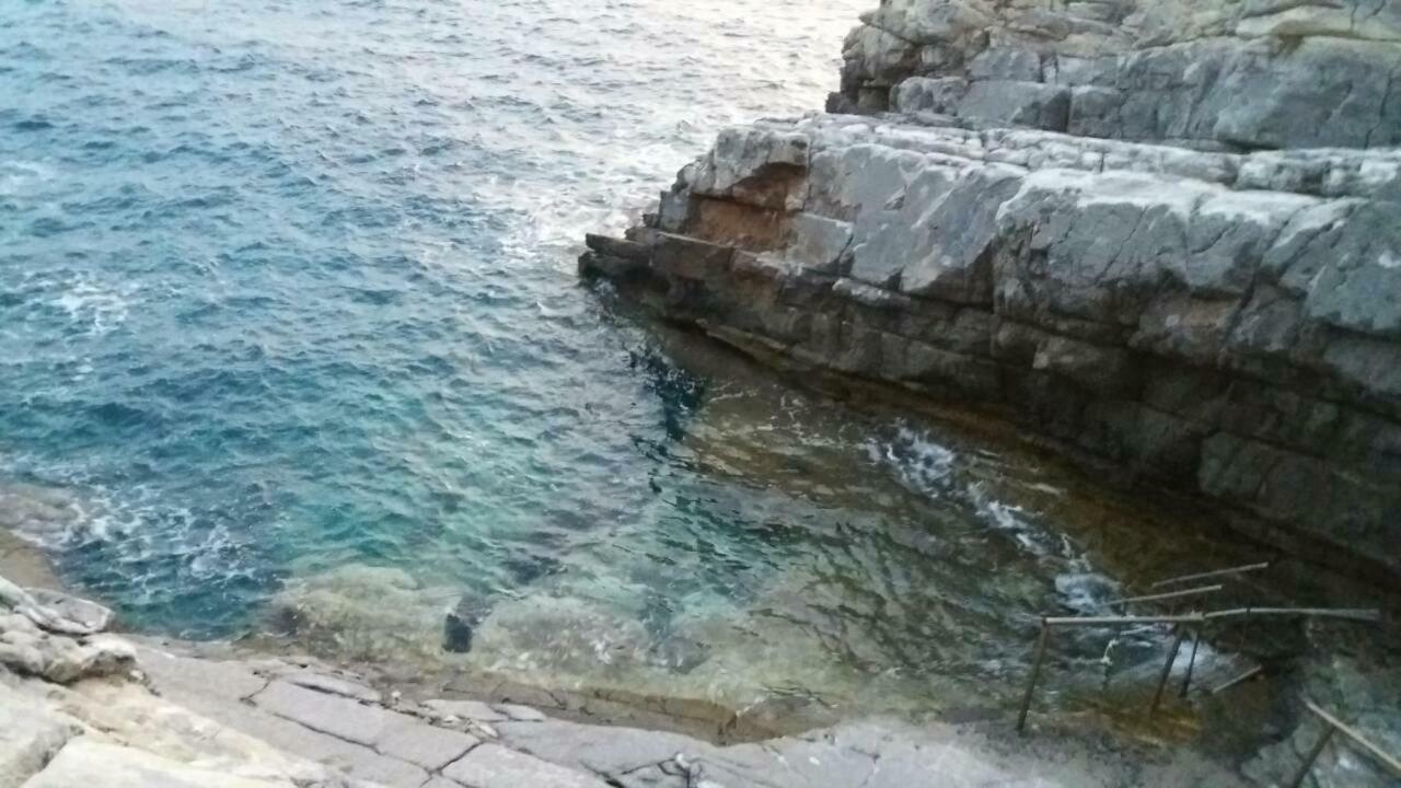 Kotronion Pogonitsa公寓 外观 照片